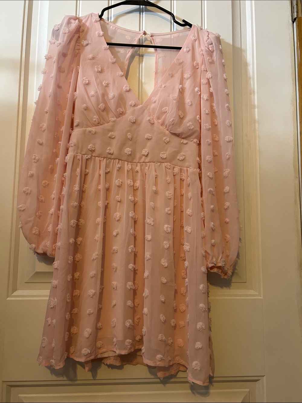 Honey and Rosie Light Blush Pink Textured Chiffon Long Sleeve Mini Dress